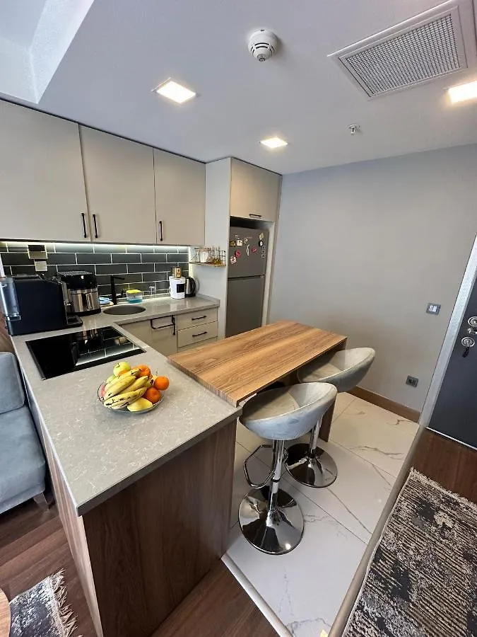 Motivada Residence Istanbul Apartment
